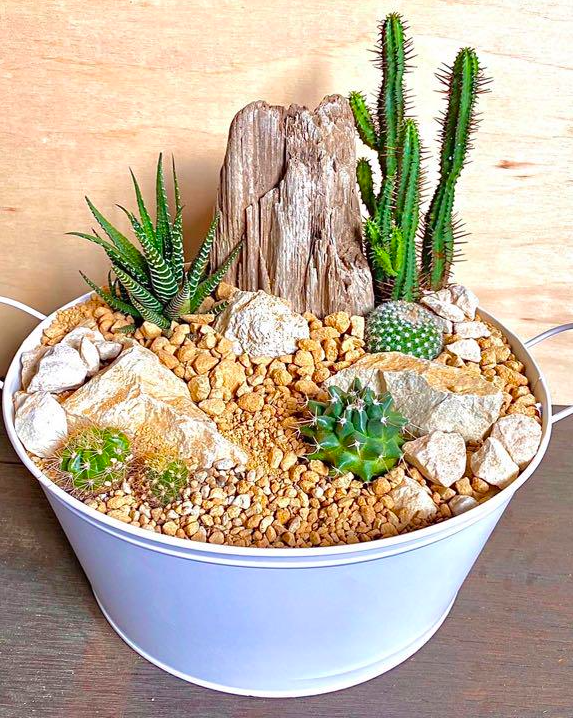 スチールプランター ミニドライガーデン 寄せ植え