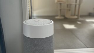 ラグドールと暮らして「買ってよかったもの」