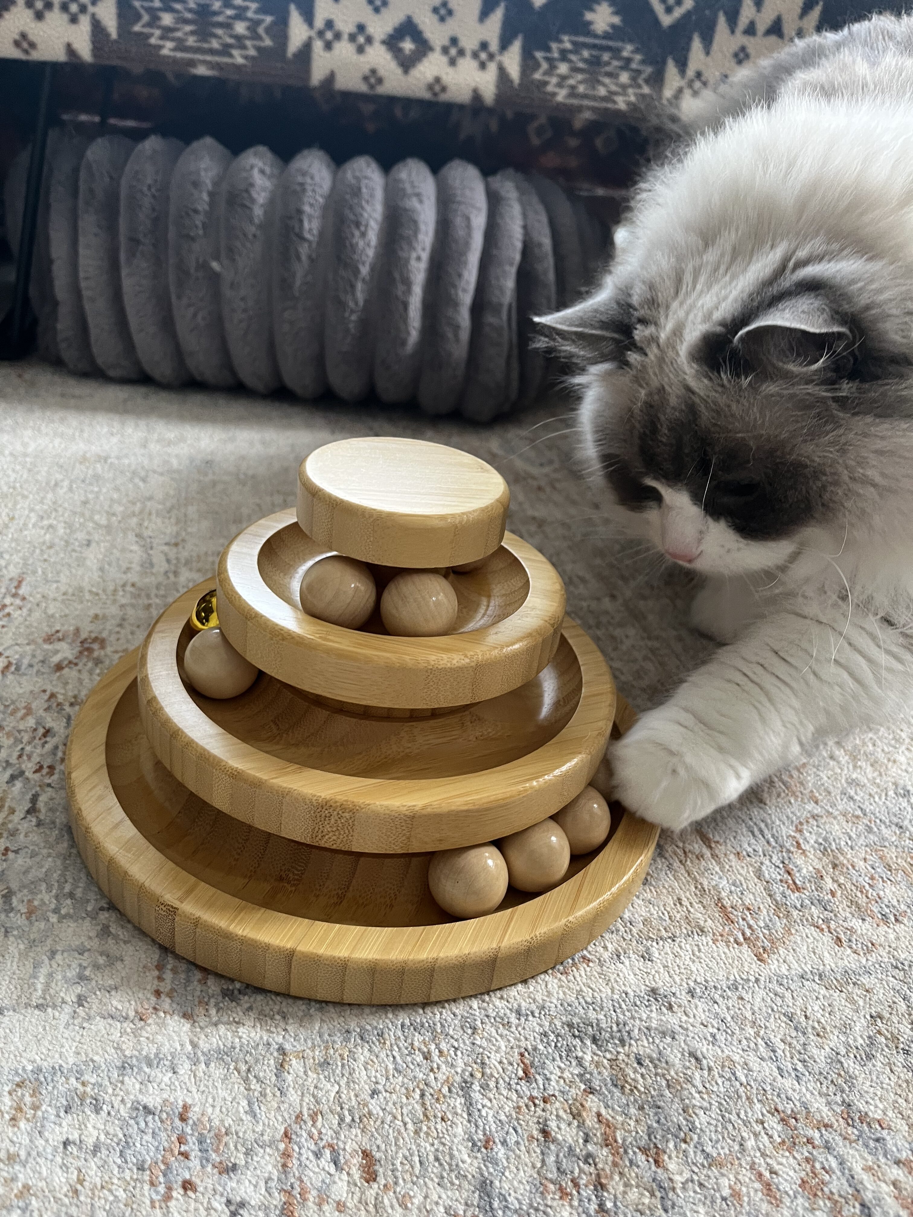 【お留守番対策】竹製ボール回転盤はラグドールにぴったりなおもちゃだった