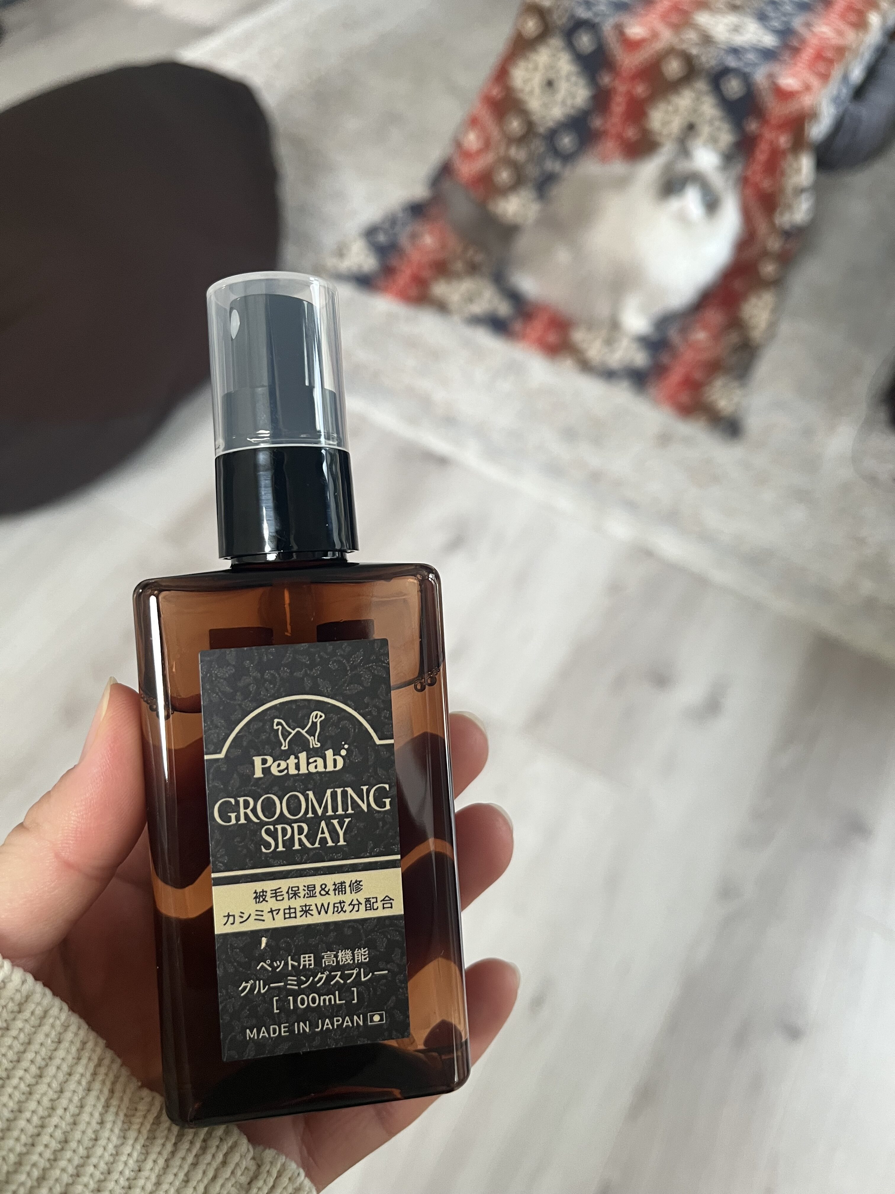 お風呂嫌いのラグドールに！ペトラボ ドライシャンプーを使ってみたら仕上がりがトリミング帰りだった