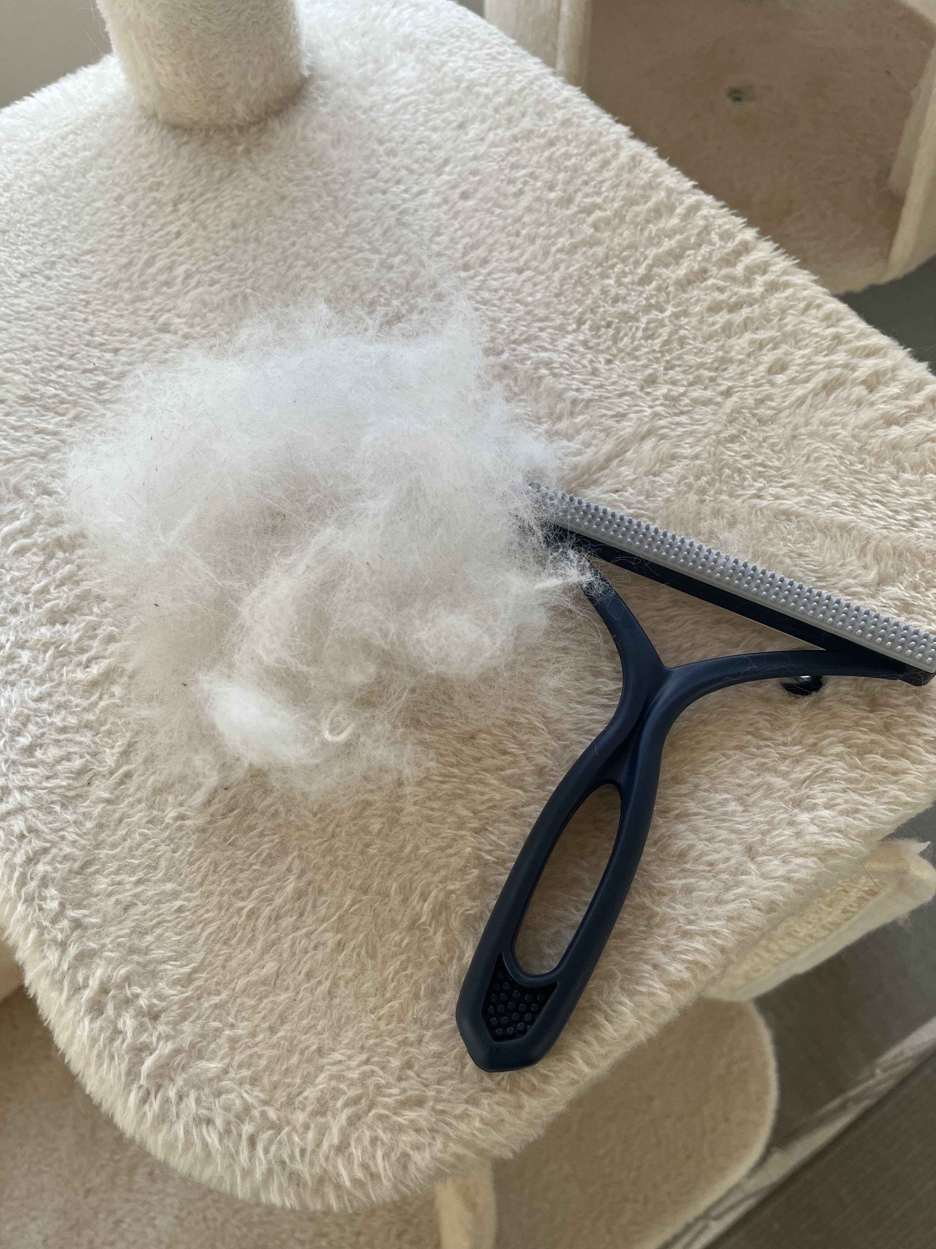 【100均セリア】ペットの抜け毛取りクリーナーがキャットタワーに神すぎた！ラグドール飼いが正直レビュー